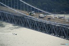 ビッグスケール