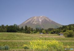 初夏の大山