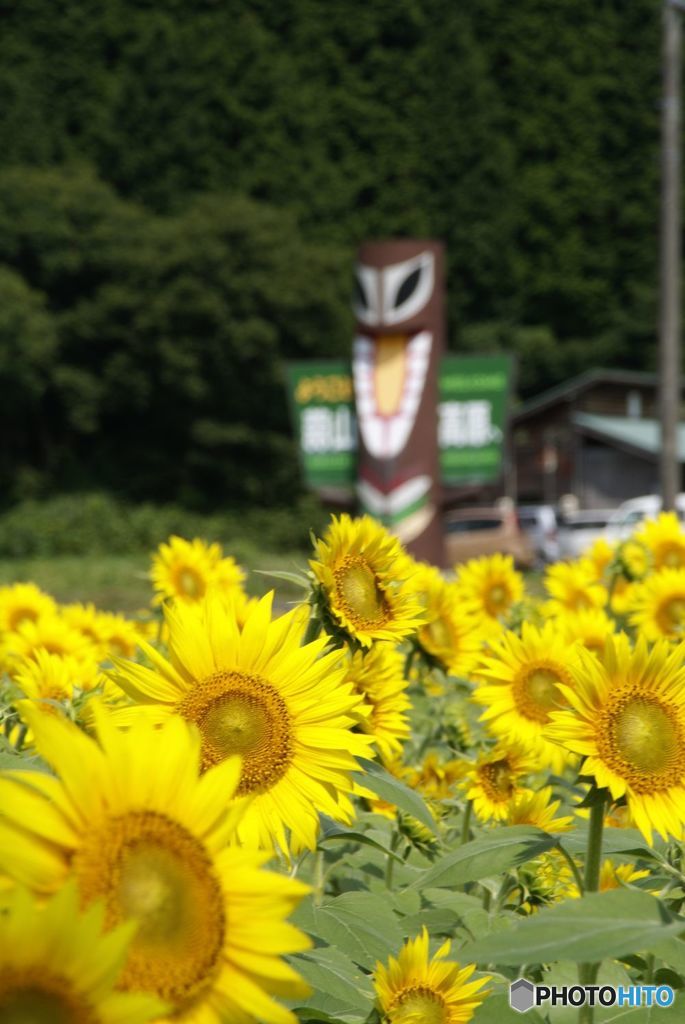 蒜山高原にて