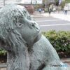 考えるサル