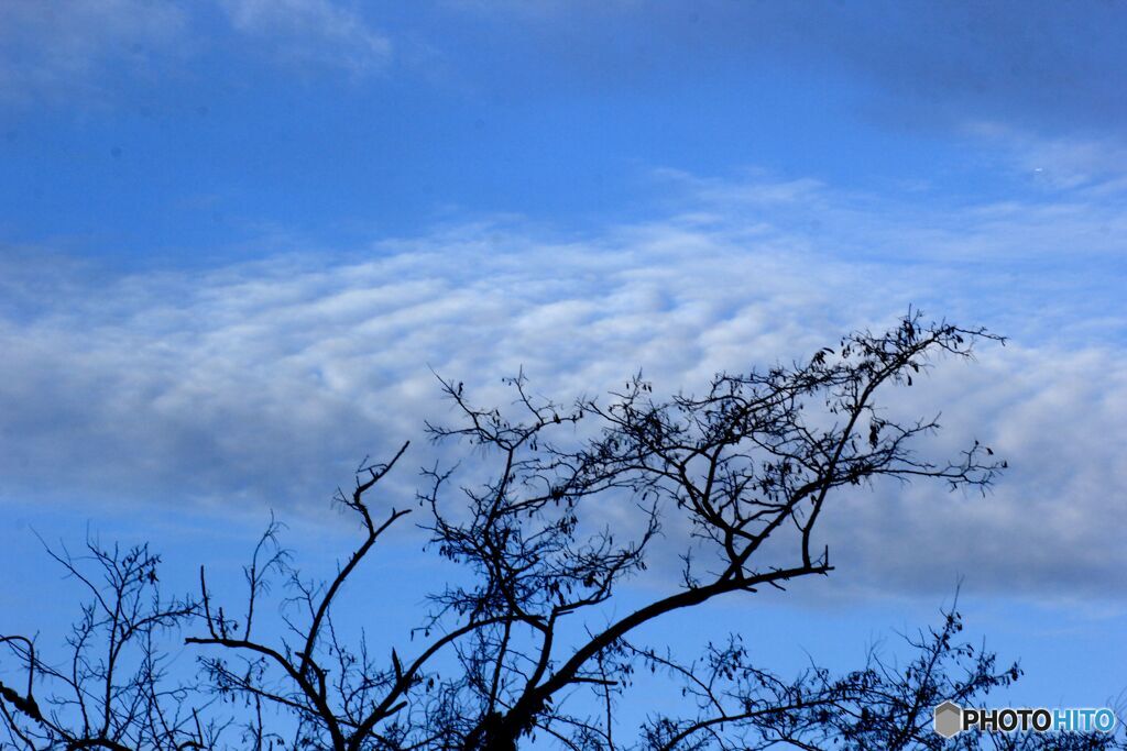 波鵜つ雲