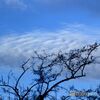 波鵜つ雲