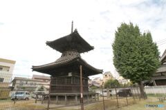 編照寺　多宝塔