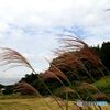 初秋のころ