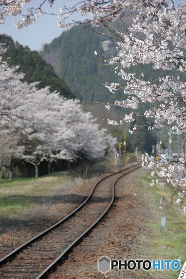 追憶の風景　・　線路