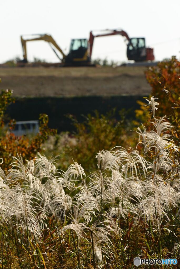 工事車両・茅