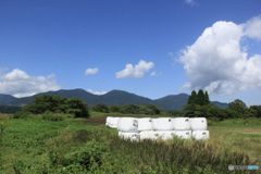 初秋の頃　　牧草ロールと蒜山三座