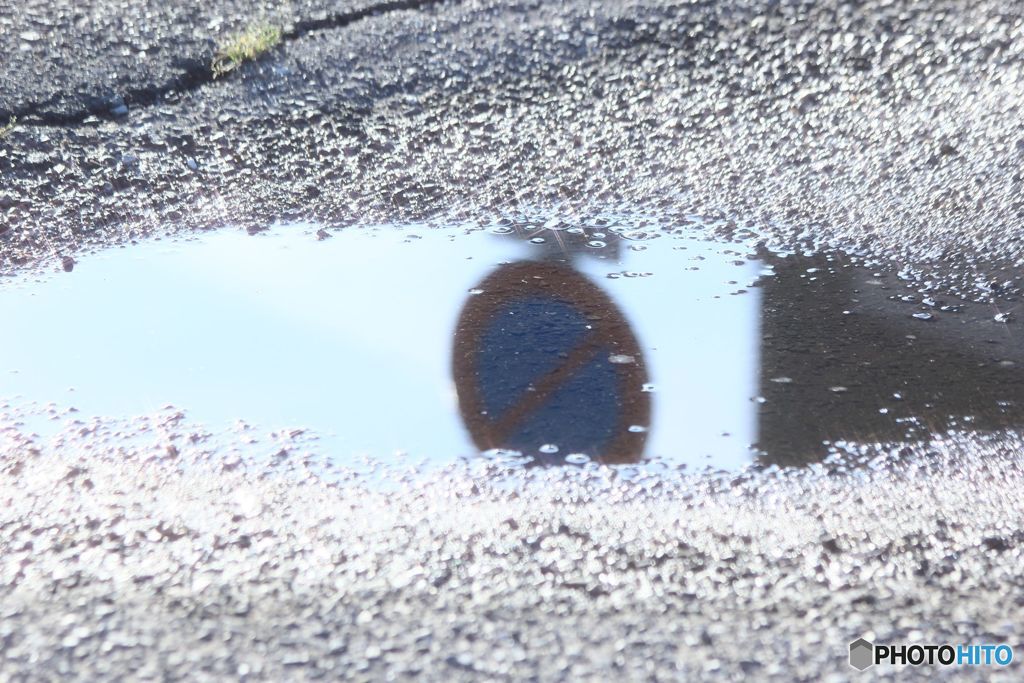 雨の証　みずたまり