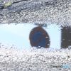 雨の証　みずたまり