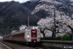 やくも　桜の木野山駅通過