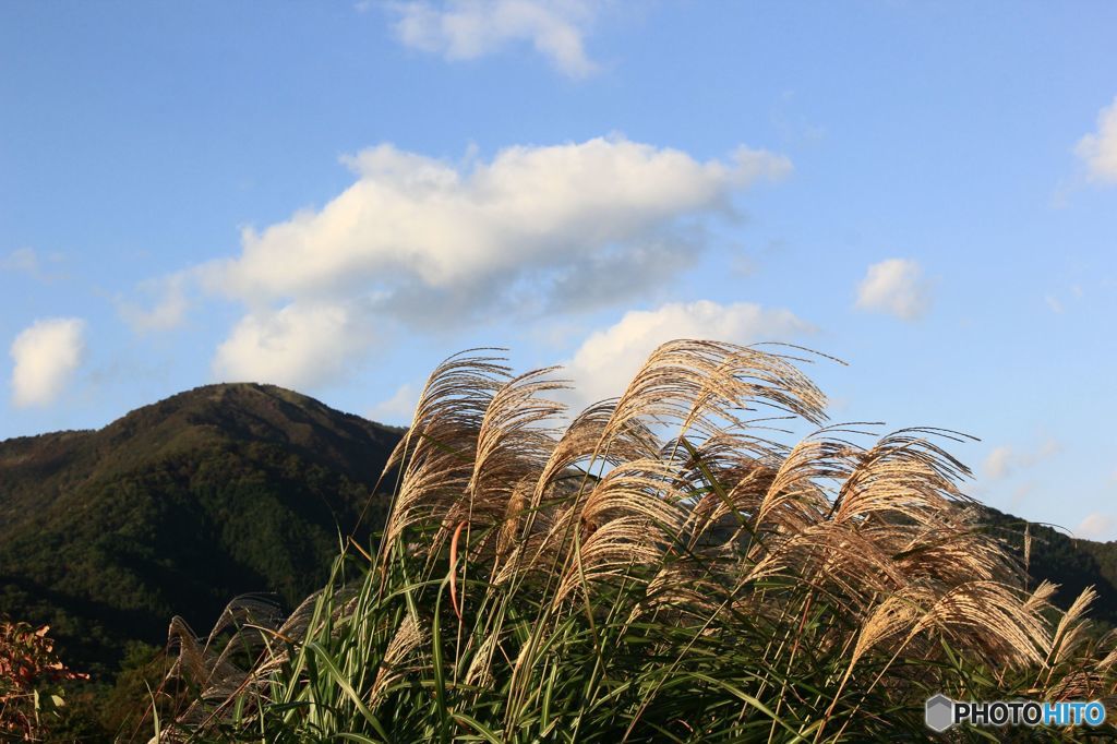 蒜山の秋