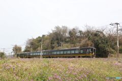 はなあかり　　大阪・尾道　運転初日