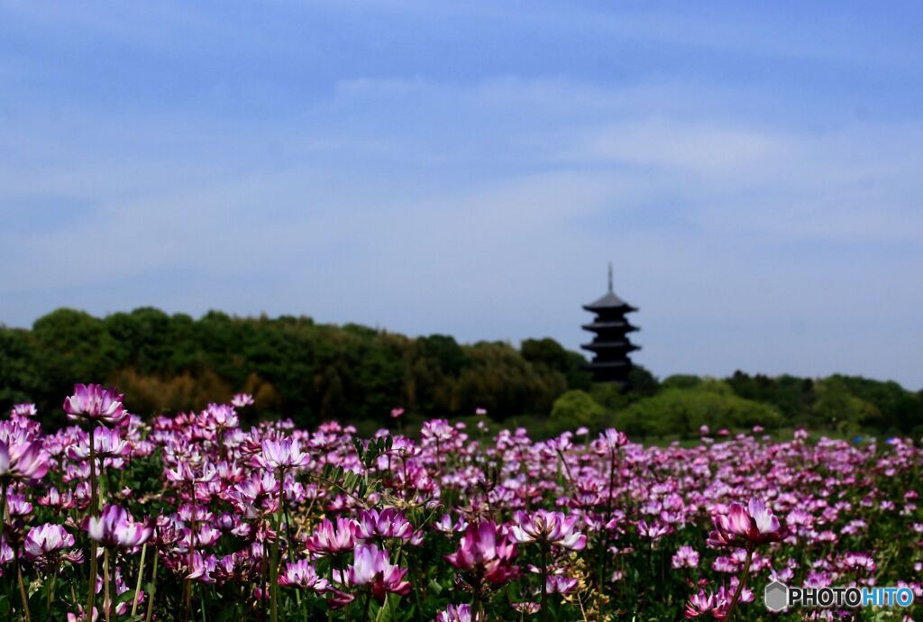 塔
