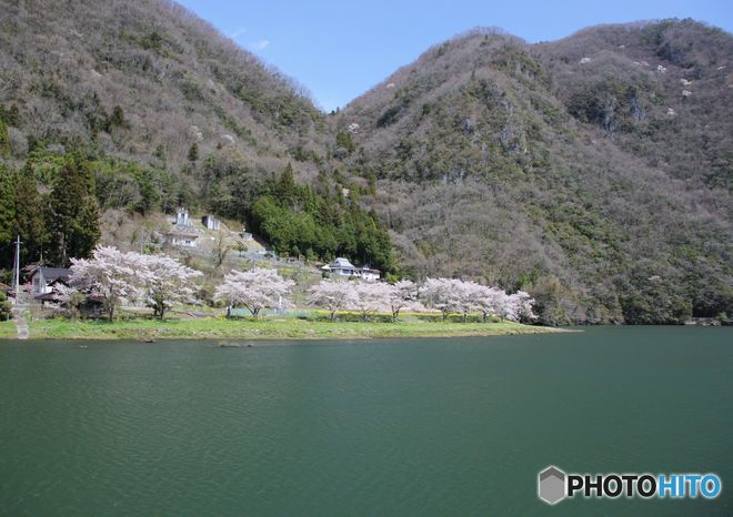 桜のある風景