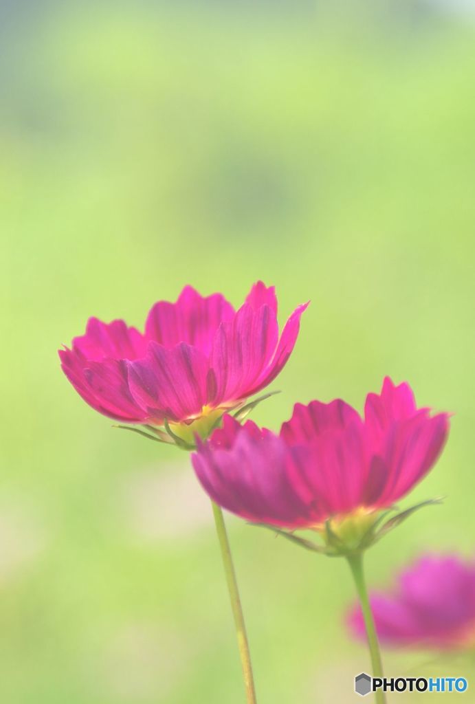 近づく秋