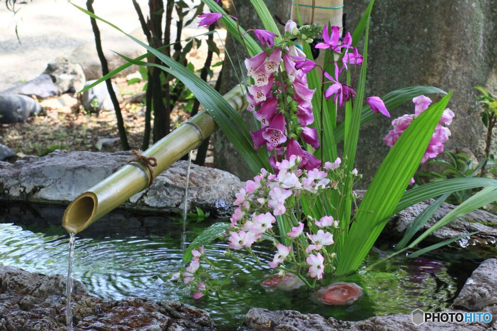 花手水