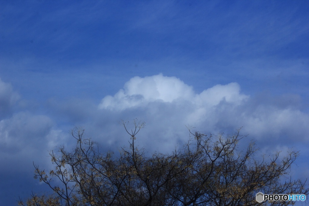 冬空