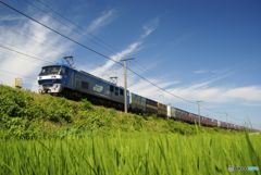 EF210-101号機 EF210-101号機