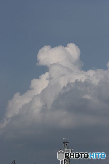 夏雲