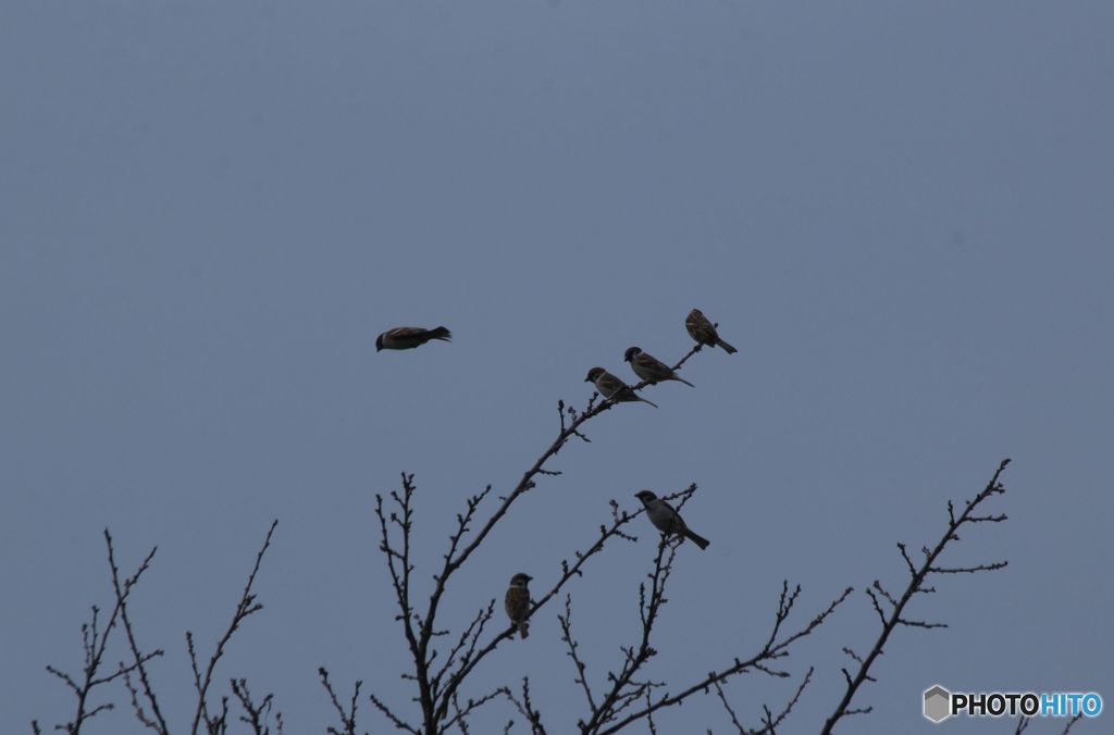 さあ、授業へいくよ