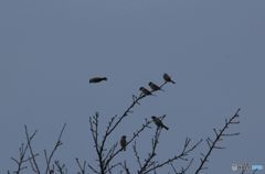 さあ、授業へいくよ