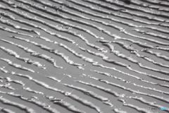 干潟にできた砂紋