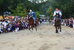 秋祭り　 競馬神事