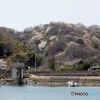 山桜のある集落