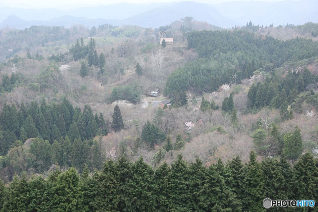 春・彩の山里