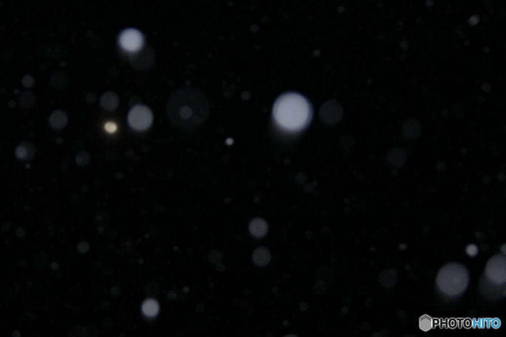 雪が降る