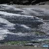 打ち寄せる波