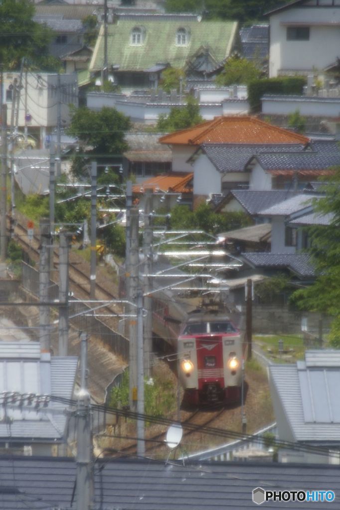 やくも　鳥瞰