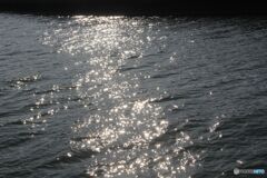 水面　きらめく