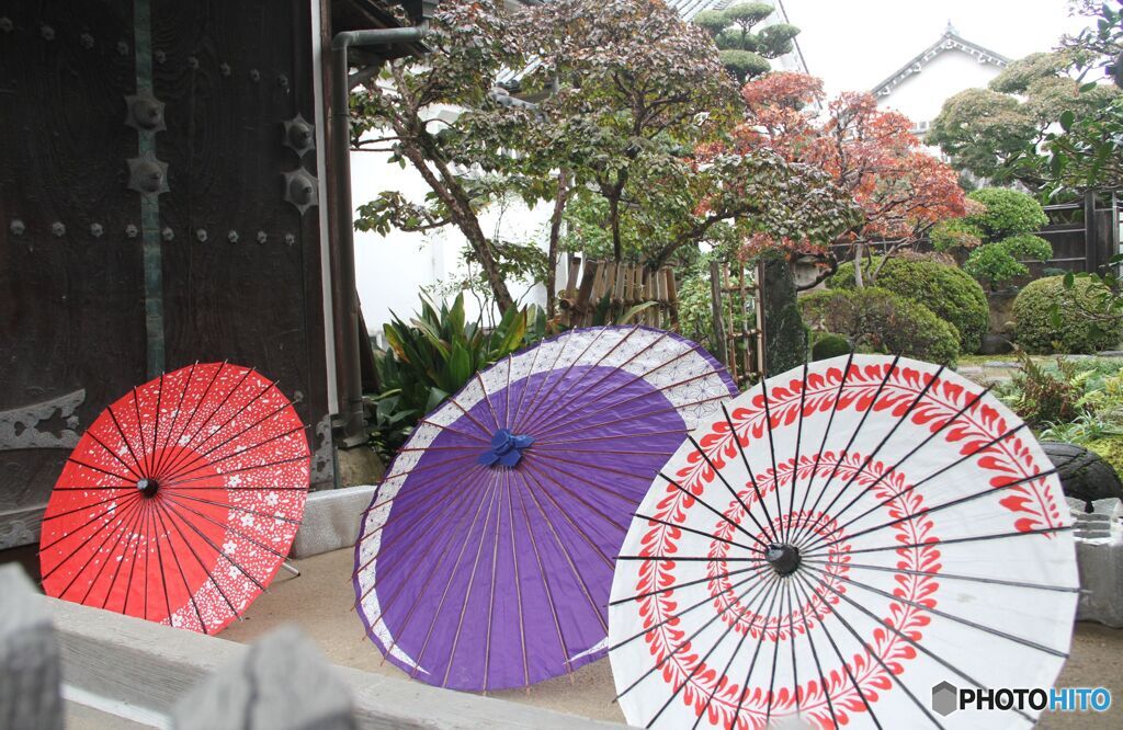 傘越しに見る脇本陣の庭