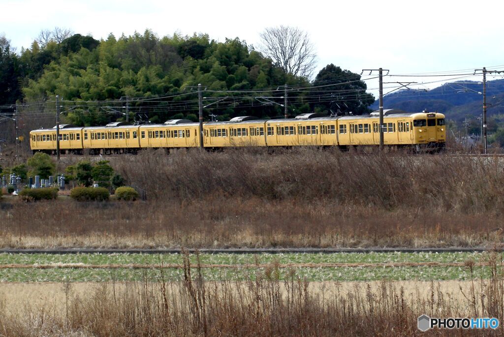 黄色の鈍行列車