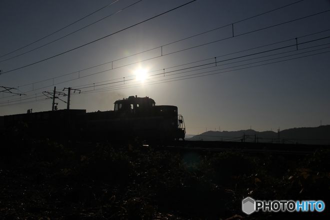 古い写真から　DE10  朝日をバックに