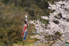 山里で見た風景