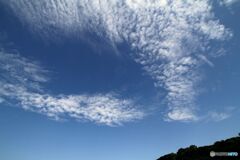 雲