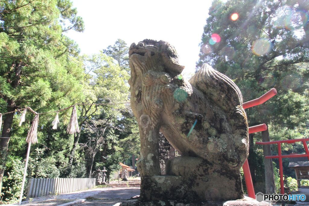 境内入り口の狛犬（右側）　高田八幡神社