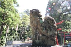 境内入り口の狛犬（右側）　高田八幡神社