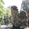 境内入り口の狛犬（右側）　高田八幡神社