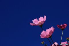 空に向かって
