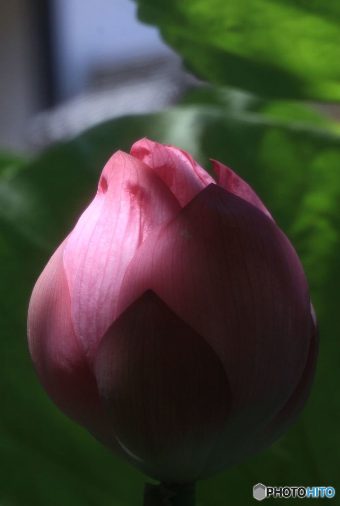 明　と　暗