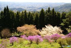 山中の桃源郷