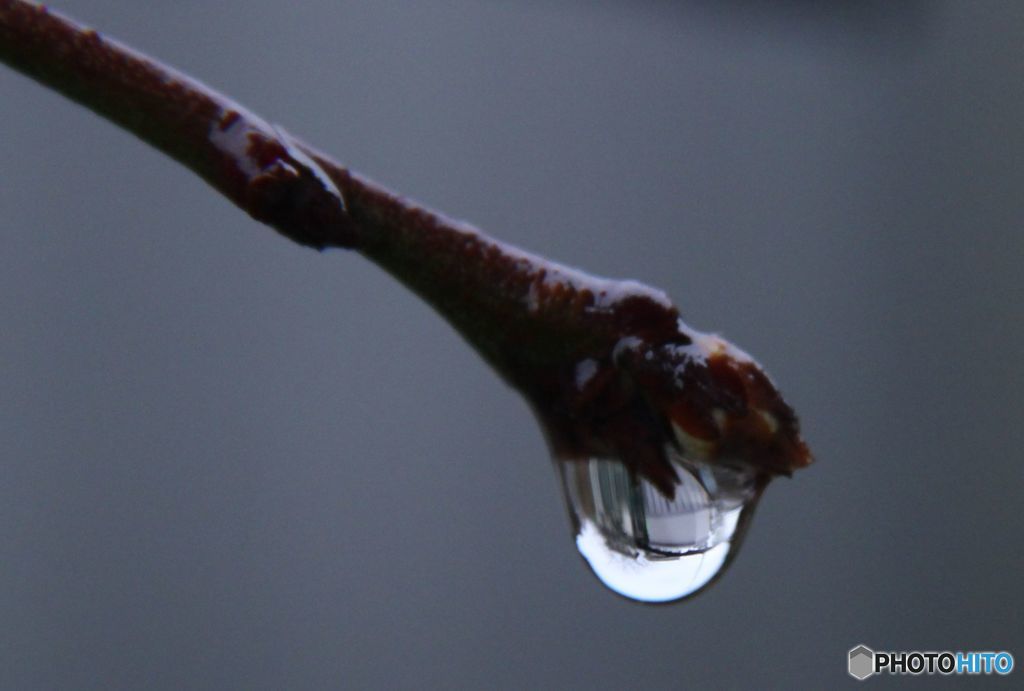 雨上がり.1