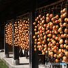  シリーズ大山　吊るし柿