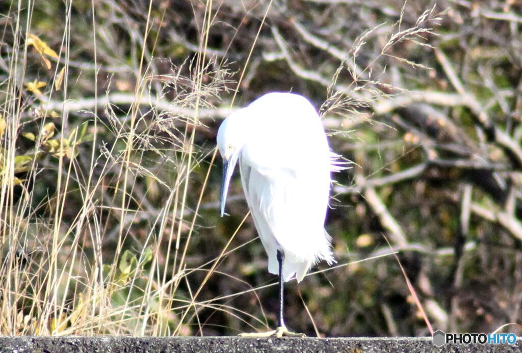 腹が減ったら立つのも　つらいよ