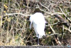 腹が減ったら立つのも　つらいよ