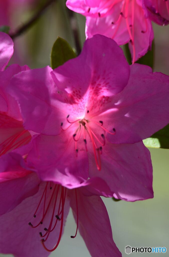 芯に光があたって