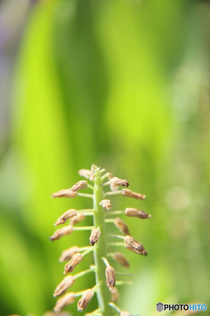 また来年に・・・・・